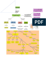 CELULA Y TIPOS DE ORGANELOS.docx