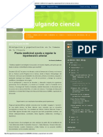 Planta Medicinal Ayuda A Regular La Hipertensión Arterial