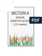 Section A - Error Identification