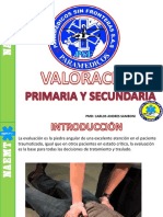 Valoracion Primaria y Secundaria PSF