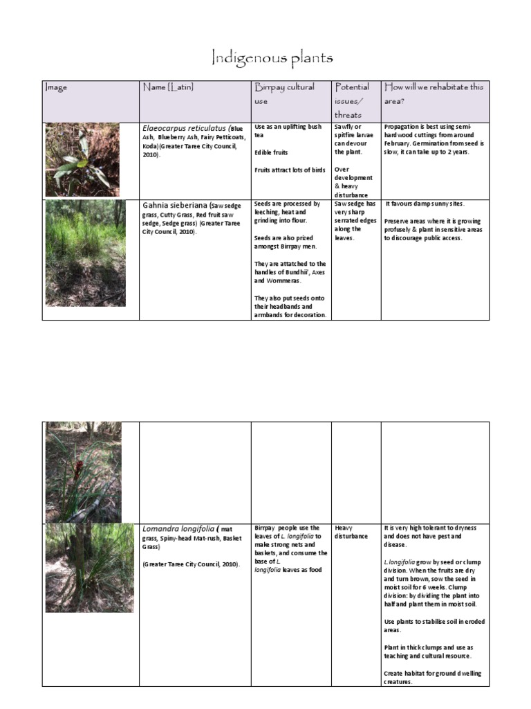 Indigenous Plant Uses and Conservation | PDF | Seed | Garden Plants