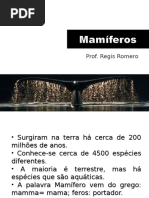 mamiferos1.pps