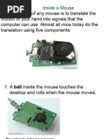 Mouse