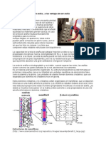 La Química de Las Telas de Araña