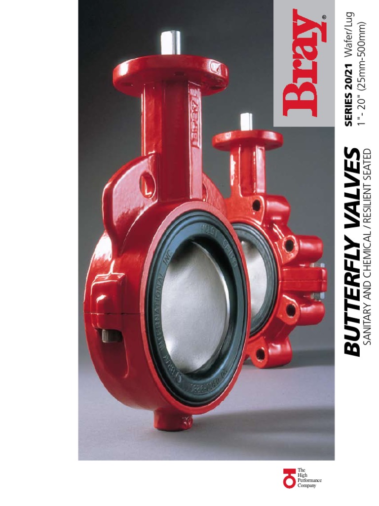 Bray Valves Valve Corrosion