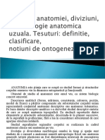 Definitia Anatomiei, Diviziuni