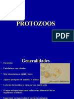 Protozoos: generalidades y principales géneros patógenos