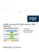 L17Post Transcriptional Modification (RNA Processing)