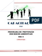 Elaboracao Do PPRA Comentado PDF