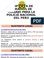 Horarios de Trabajo PNP