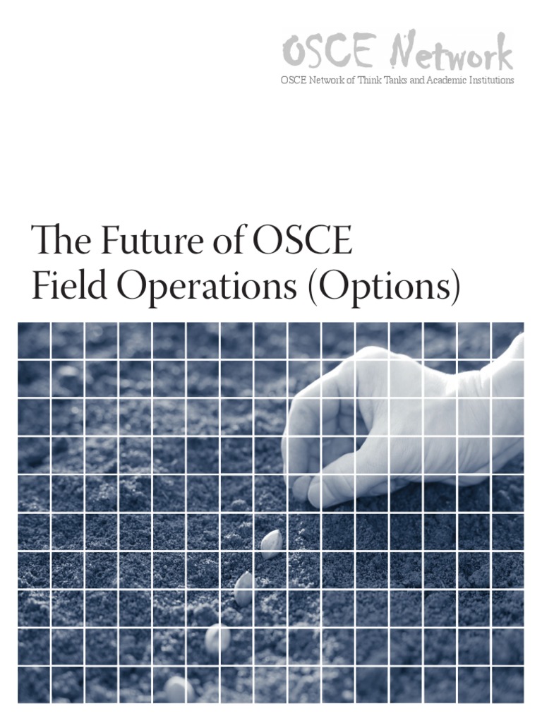 The Future of OSCE Field Operations (Options) | PDF | Organization For ...