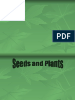 Seeds and Plants