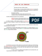 Edad de Los Arboles 123