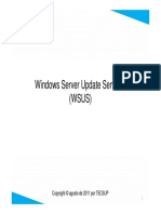 New Cap04 WSUS (Modo de Compatibilidad)