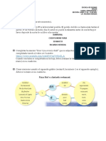 Principiante 1 (Tareas Hasta El Momento)