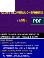 Acute Glomerulonephritis (Agn)