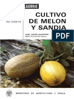 Cultivo de Melon