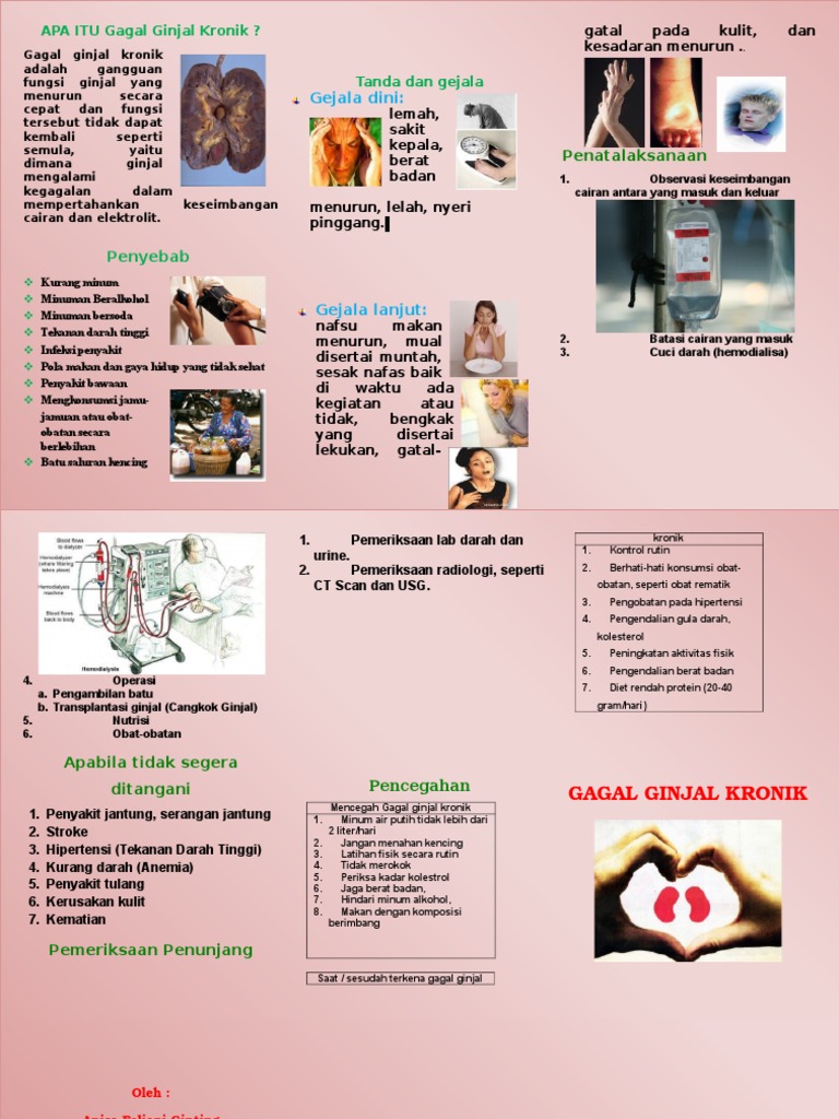 Leaflet Gagal Ginjal Doc