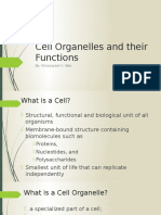 Cell Organelles and Their Functions