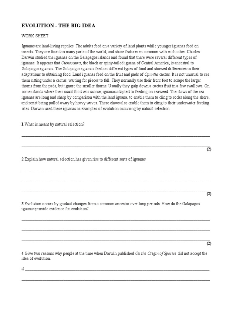 Evolution and Natural Selection Worksheet | PDF