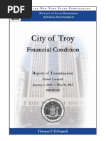 DiNapoli Troy Audit