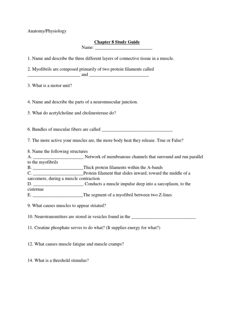 CH 8 Study Guide | PDF | Computers