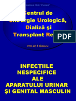 CURS 03.1-Infectii Nespecifice Ale Aparatului Urinar-2