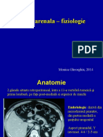 SR Fiziologie Si Insuficienta 3