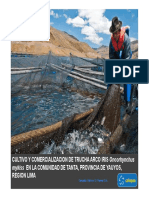 PDF 61752 Celepsa Cultivo y Comercializacion de Truchas Arco Iris