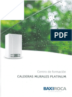 PLATINUM Calderas Murales