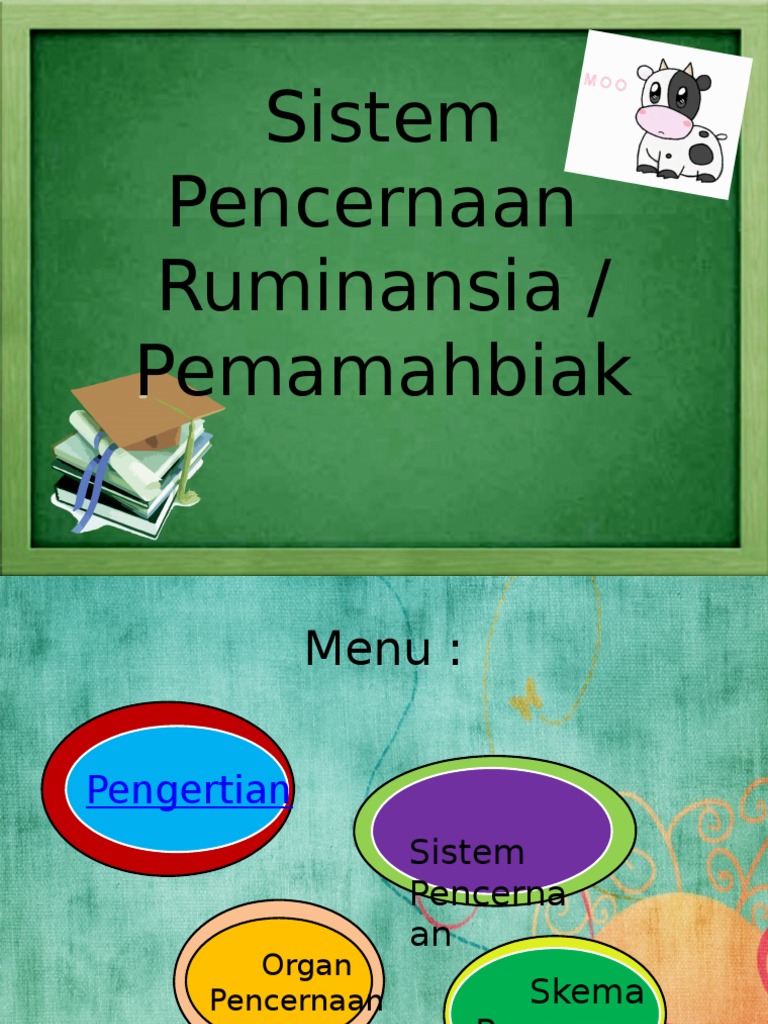 Sistem Pencernaan Ruminansia