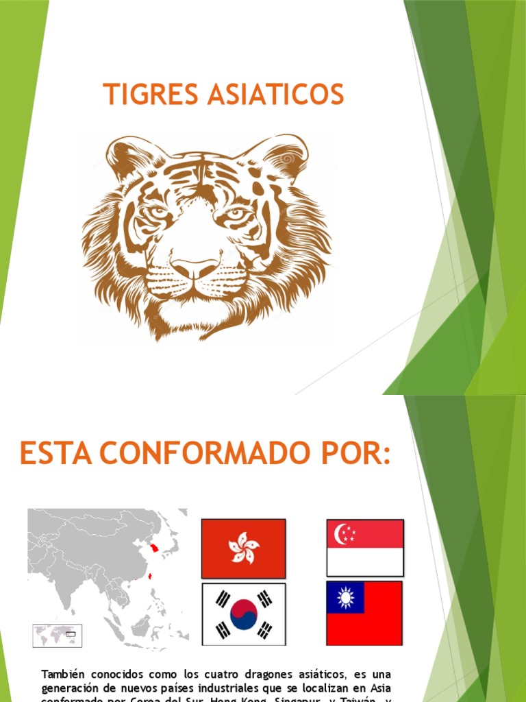 Tigres Asiaticos | PDF | Cuatro tigres asiáticos | Ciencias económicas