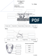 Ujian Bulanan 1 Sains Tingk 2