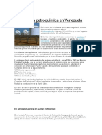 La Industria Petroquímica en Venezuela
