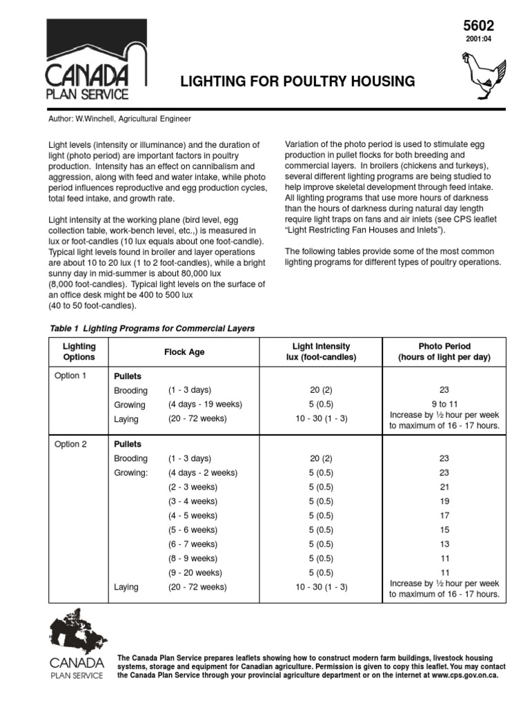 Poultry Housing Lighting Programs | PDF | Lighting | Fluorescent Lamp