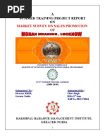 Download Project Report of Mhan Meakings Lucknow by vikas1985singh SN29961453 doc pdf