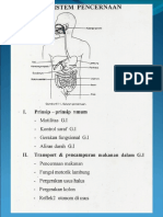 Bahan Kuliah - Sistem Pencernaan