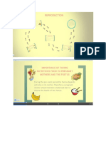 Prezi Powerpoint Presentation