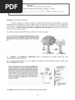 Ficha de Trabalho Transporte No Floema Com Correcc3a7c3a3o