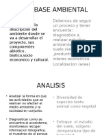 Linea Base Ambiental Resumen