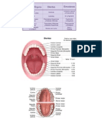 Bio. Los Dientes