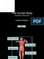 Human Body