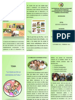 Triptico de Sociologia Fin de Ciclo