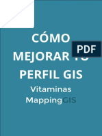 Como Mejorar Tu Perfil GIS - Vitaminas MappingGIS