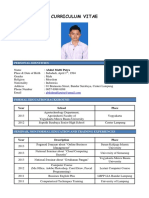 Curriculum Vitae: Personal Identities