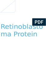 Retinoblastoma Protein