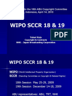 FINA WIPO SCCR 18&amp 19 20100405 ABU Jakarta, by Yukari Kojo