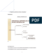 Skema Antropologi