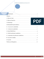 Trabalho Final de Tecnica (2)