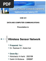 Wireless Sensor Network (WSN)